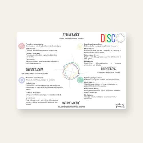 Carte DISC — carte des 4 profils