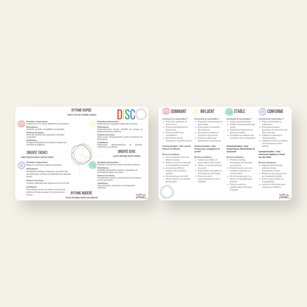 Carte DISC — recto profils et verso communication